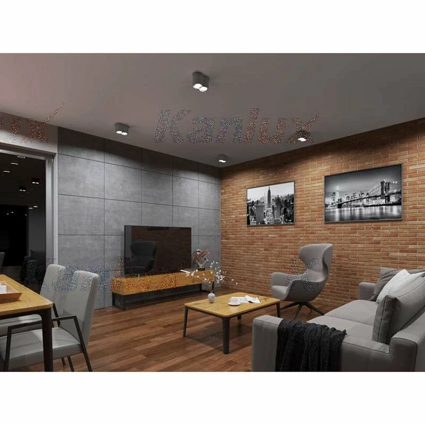 Les meilleures critiques de ⌛ Kanlux Plafonnier en Saillie BORD Double GU10 Orientable - Aluminium Brossé ✔️ – Image 3