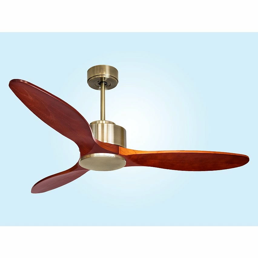 Remise đ Klassfan Ventilateur de plafond RĂ©versible Thermostat Wifi Moteur Ă courant continu Toits en pente TĂ©lĂ©commande ScĂ©narios Hypersilence MĂ©moire đ„ â Image 2